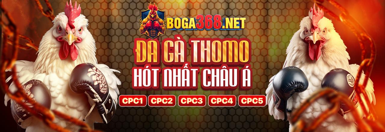 Ảnh minh họa các điều khoản và điều kiện pháp lý của trang casino uy tín