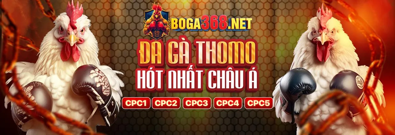 Ảnh minh họa các điều khoản và điều kiện pháp lý của trang casino uy tín