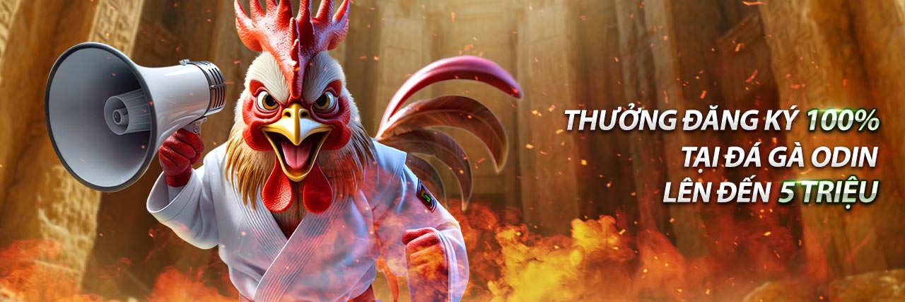 Công nghệ mã hóa dữ liệu bảo vệ thông tin người dùng tại trang casino uy tín